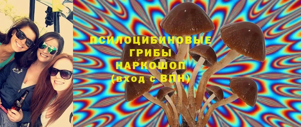 прущий лед Горно-Алтайск