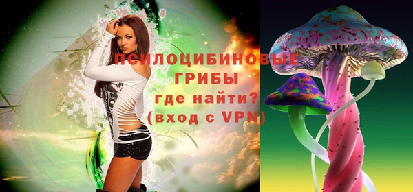 прущий лед Горно-Алтайск